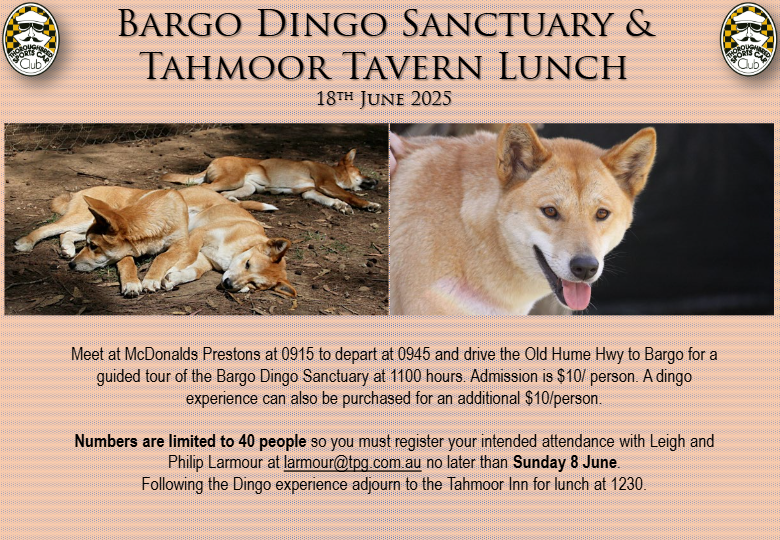 Bargo Dingo Snactuary & Tahmoor Inn - Jun 2025-thumbnail