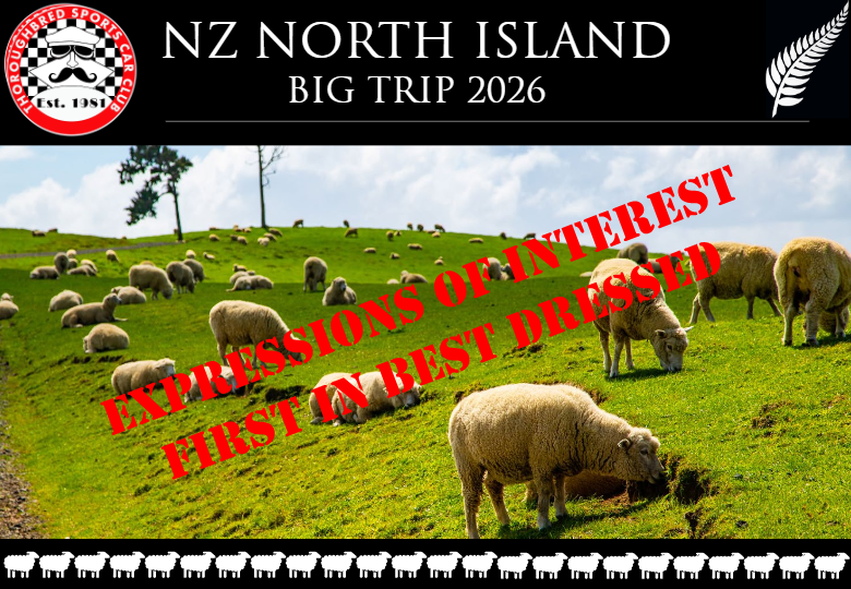 NZ Big Trip EOI Flyer - Oct 2026-thumbnail
